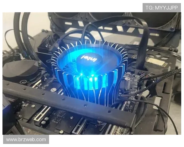 英特尔处理器直播游戏闪退问题分析与解决方案详解